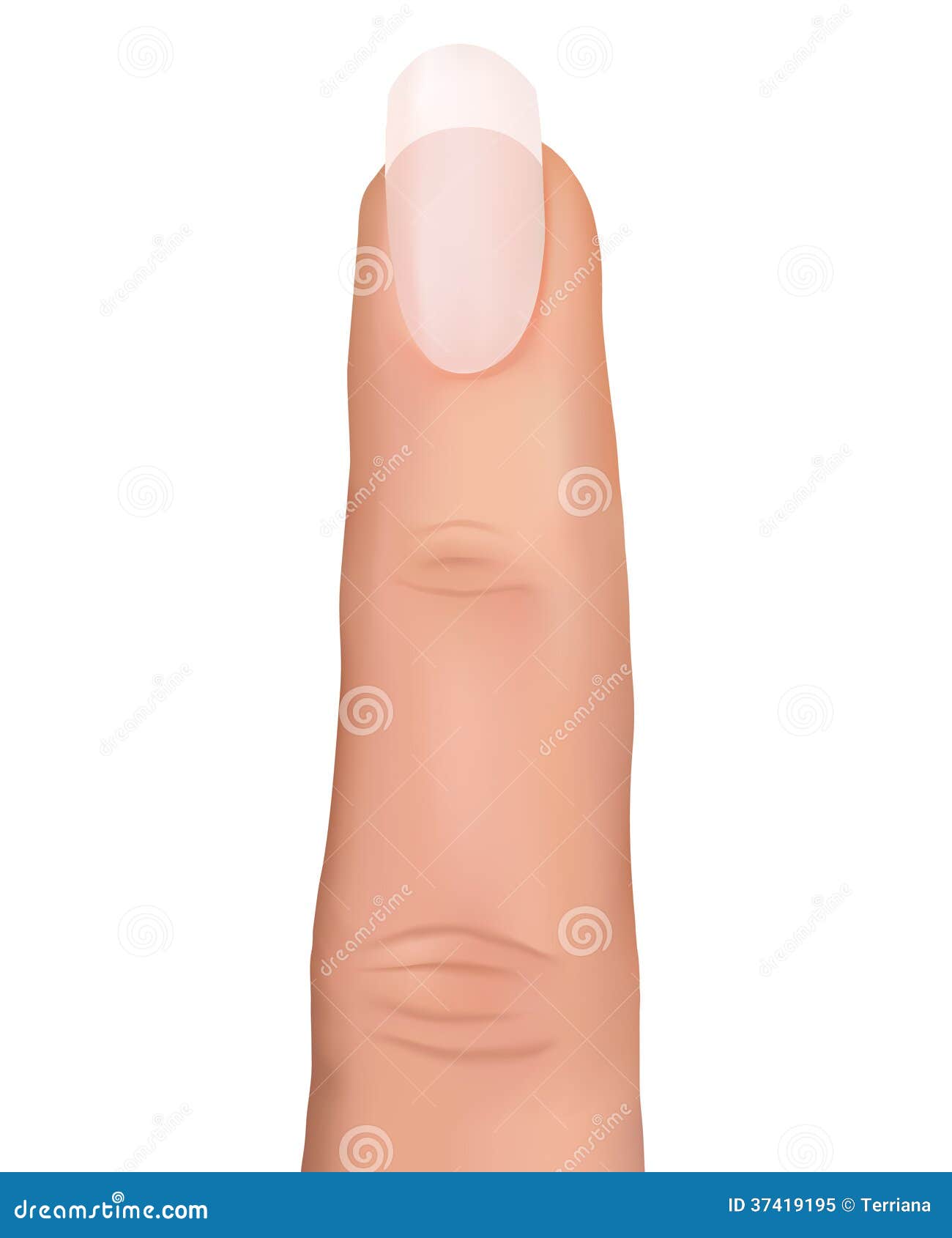 Female Finger