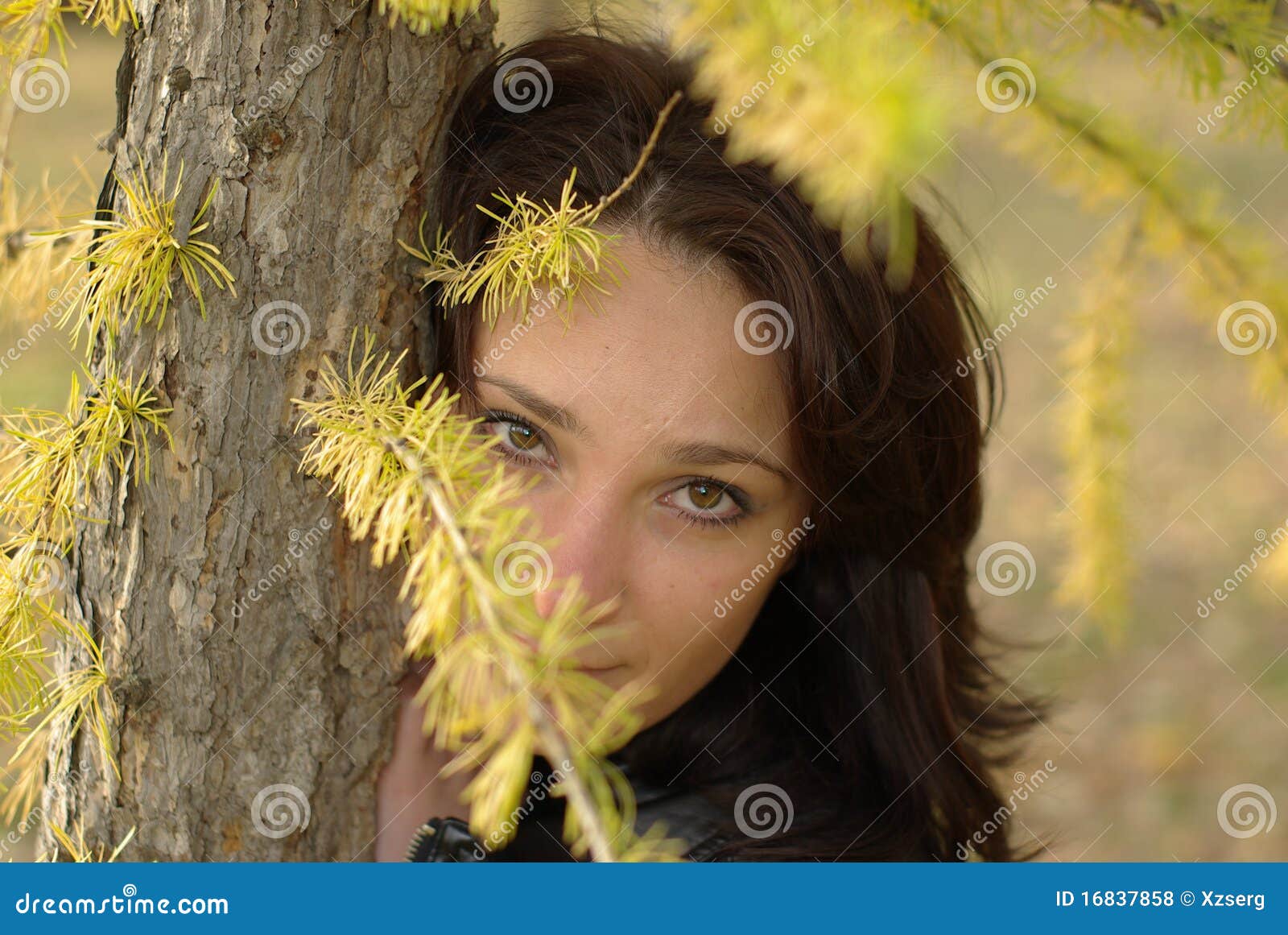 Female and fir-tree stock photo. Image of haircut, leaning - 16837858