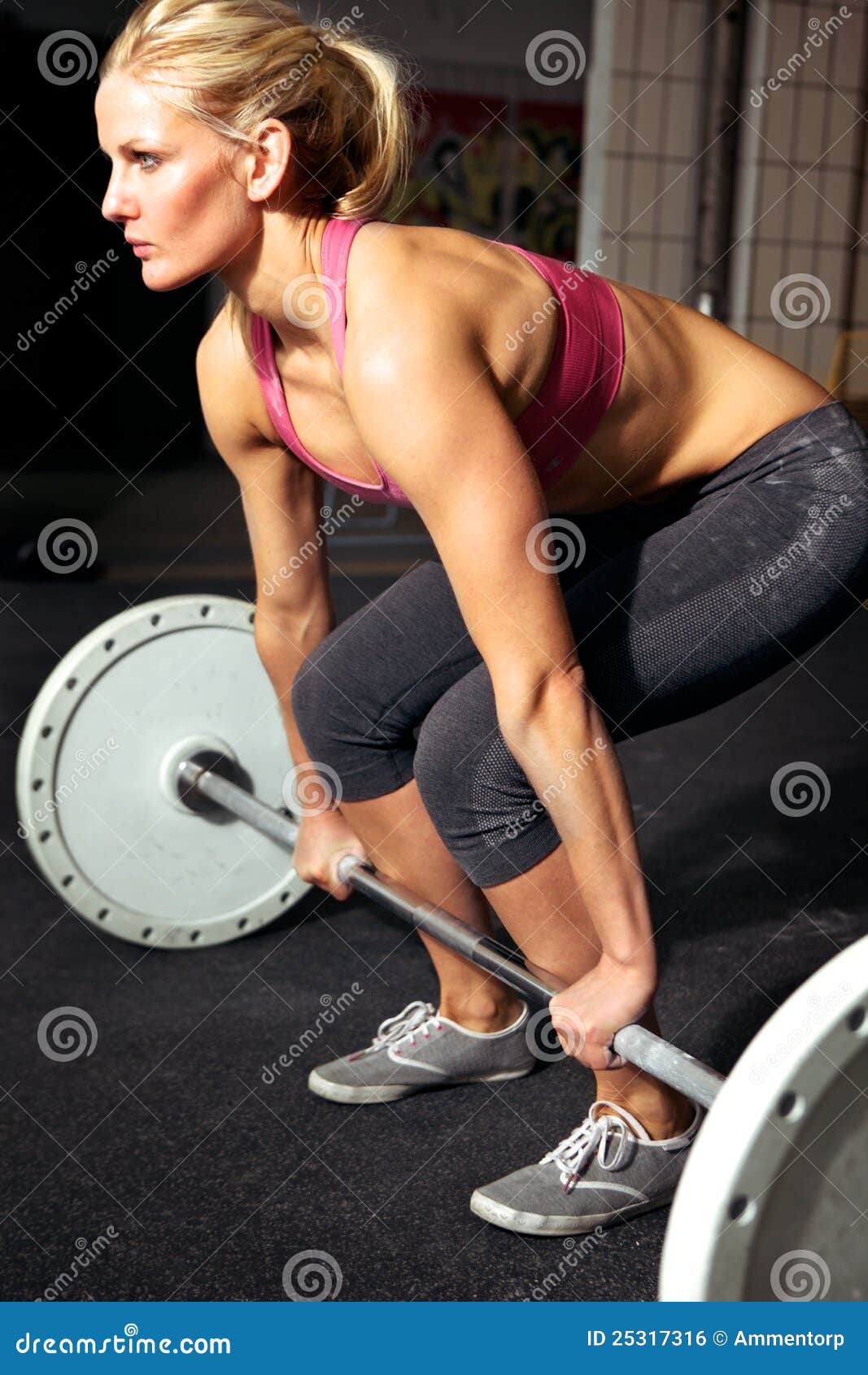 Female Fitness Workout stock photo. Image of athletic 25317316
