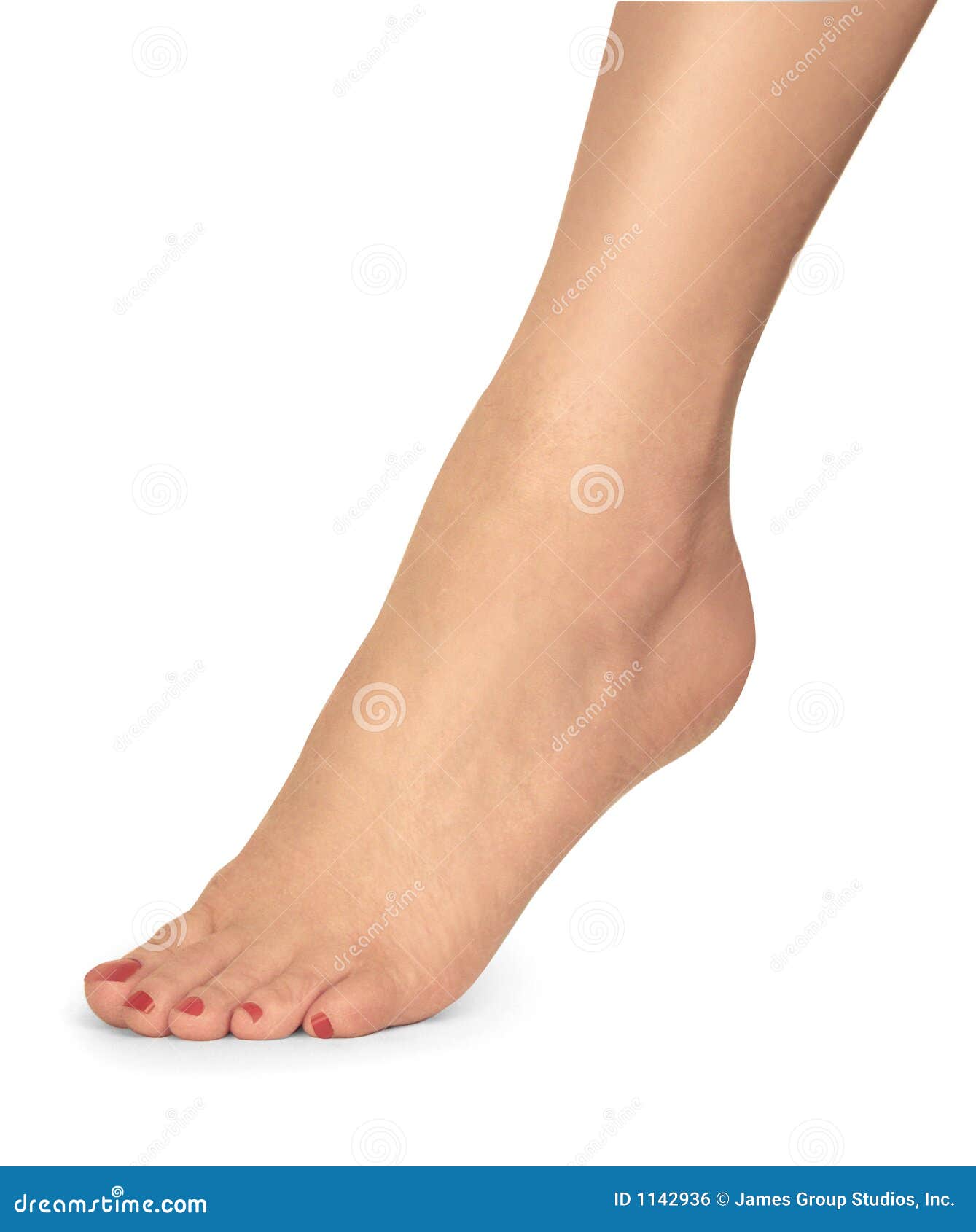 female foot