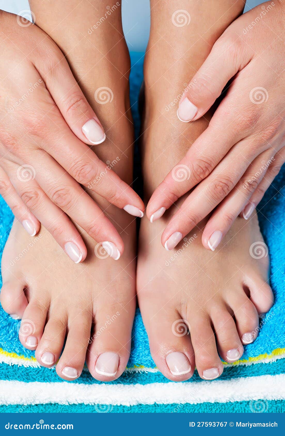 Female french manicure stock image. Image of arms, french - 27593767