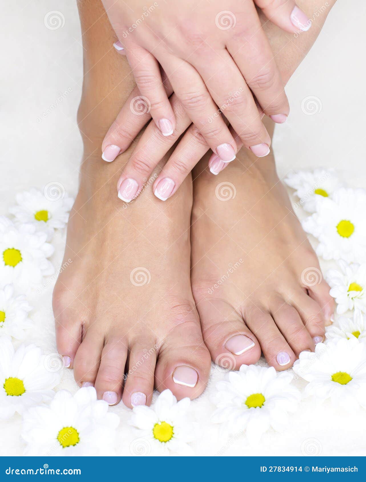 Female french manicure stock photo. Image of arms, manicure - 27834914