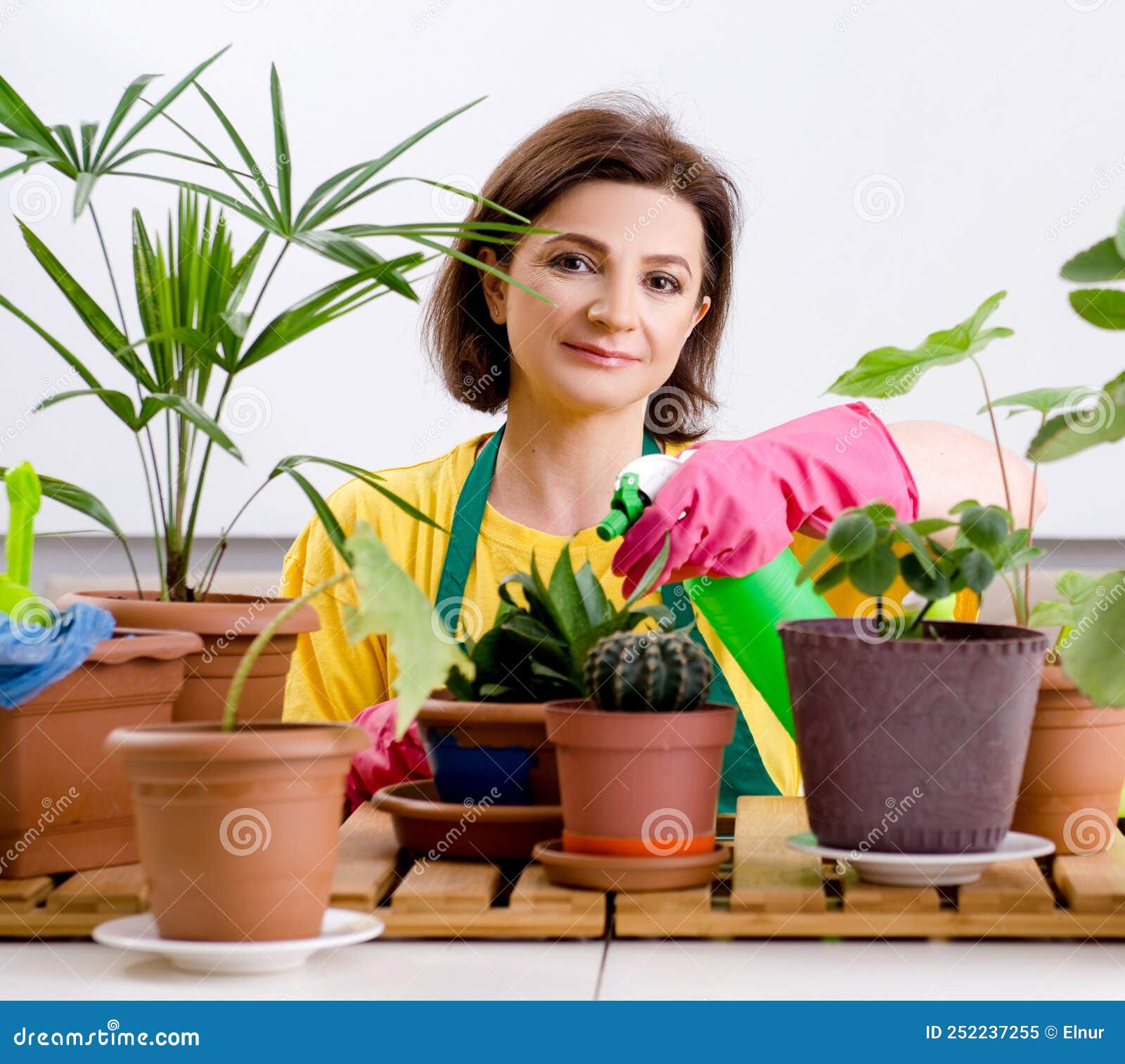 Female Gardener with Plants Indoors Stock Image Image of botany