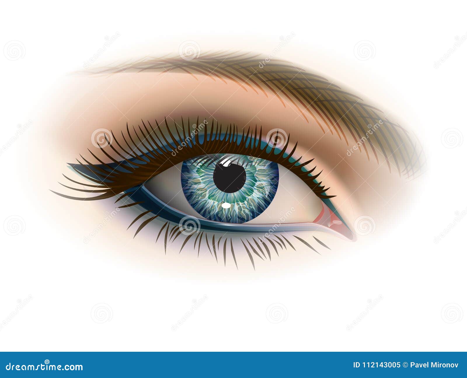 Female Gray Eye with Makeup Stock Vector - Illustration of design ...