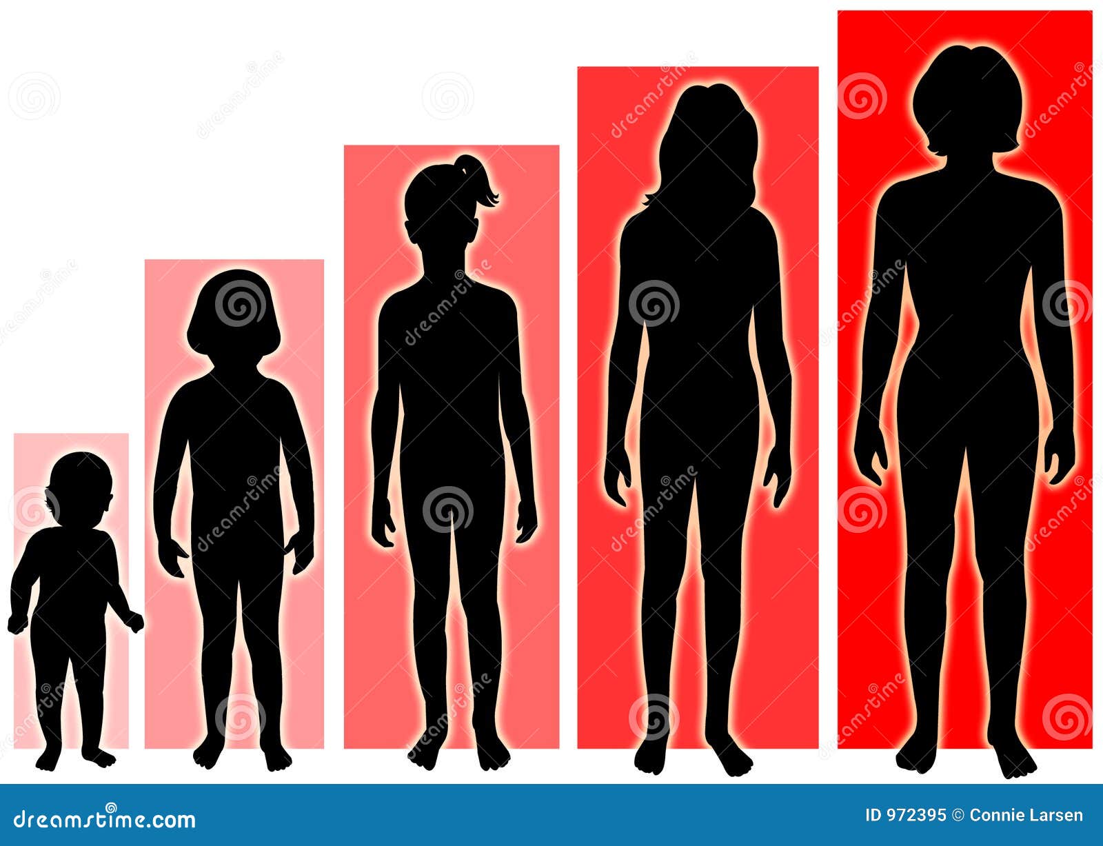 Stages Of Puberty In Girls Chart