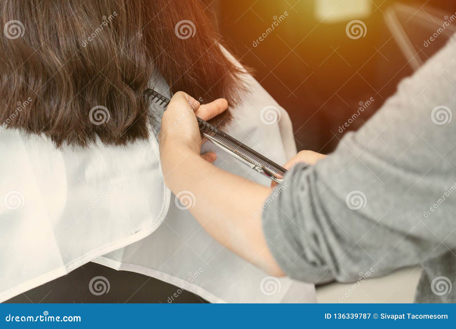 Female hair cutting stock image. Image of long, like 136339787