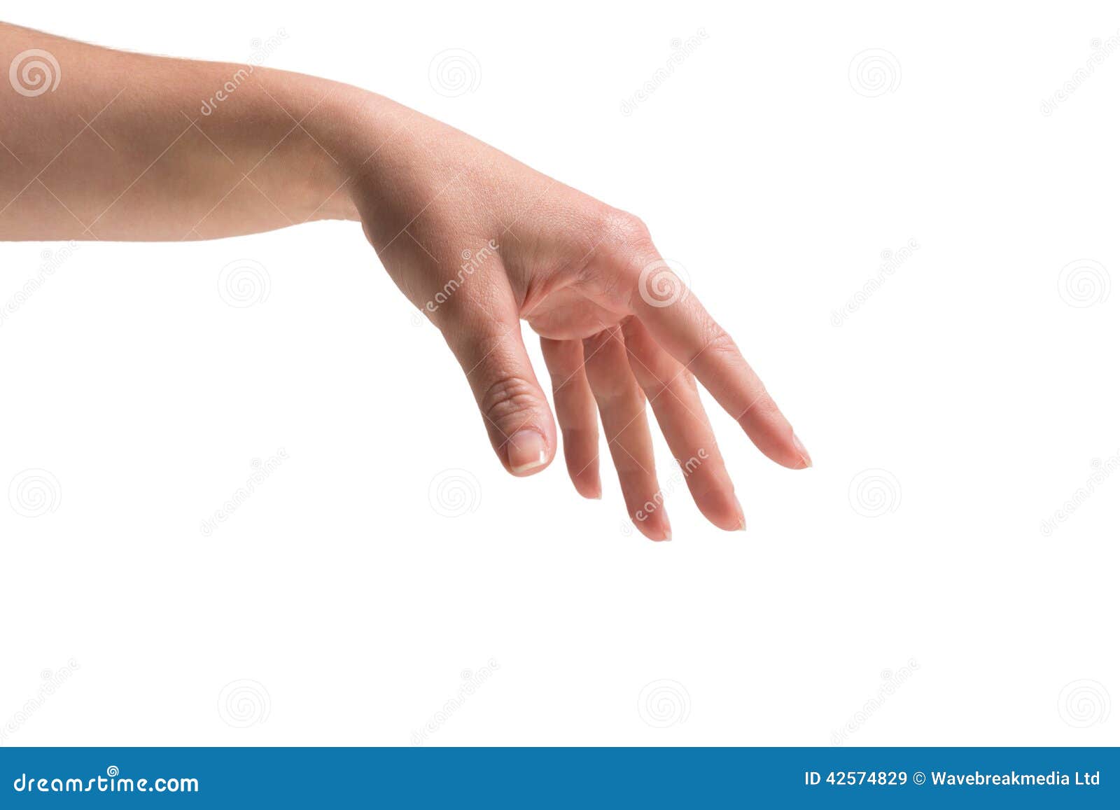Female hand being held out on white background