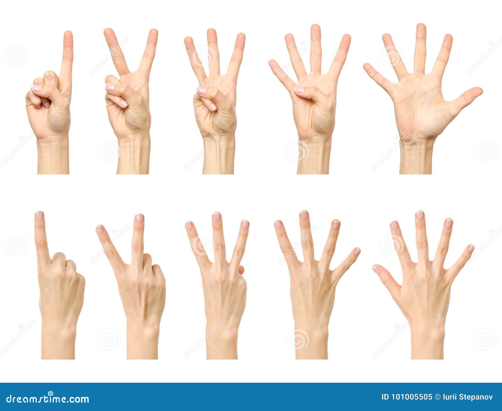 Female Hand Counting From One To Five Stock Image - Image of caucasian ...