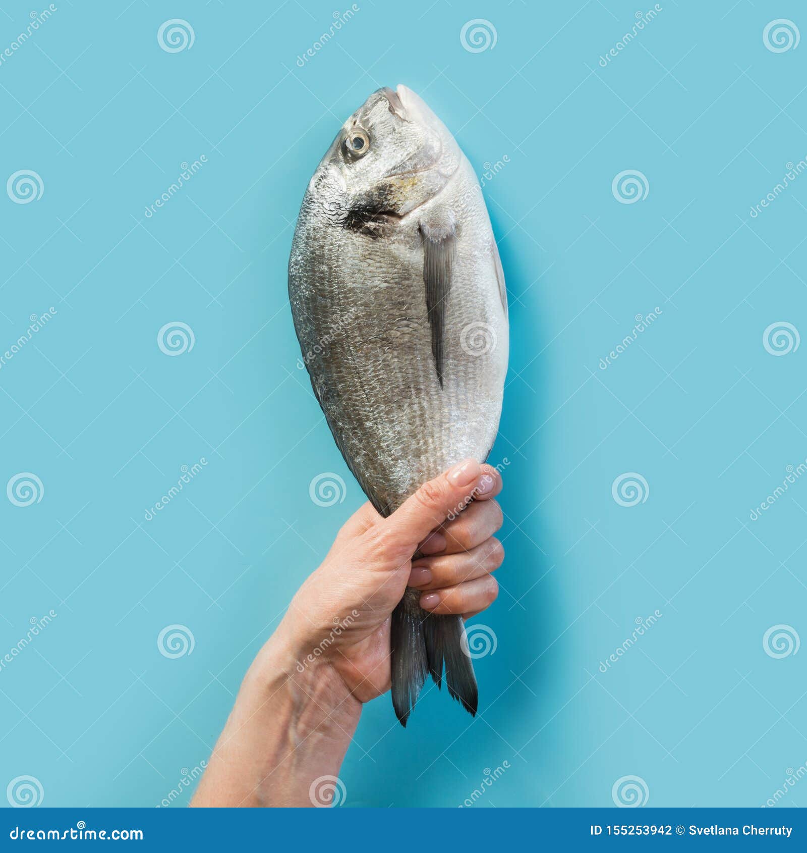 female hand with dorado fish tail on blue paper as color of sea