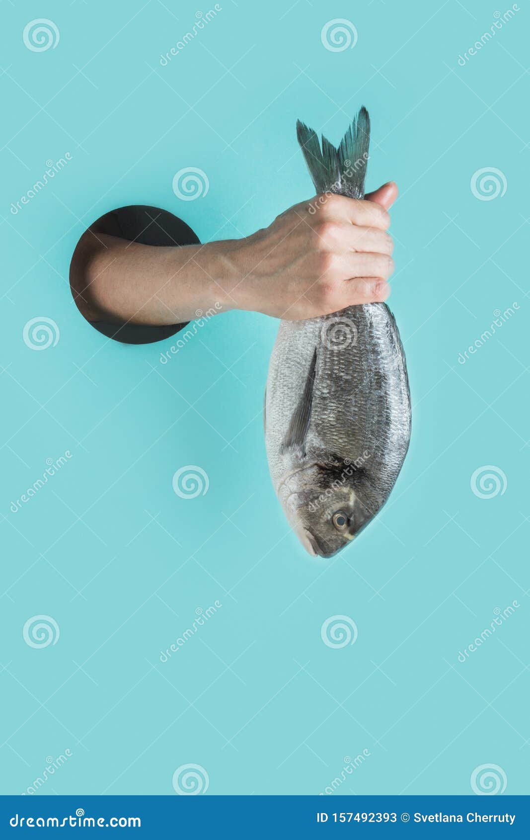 female hand with dorado fish tail in through hole in blue paper as color of sea