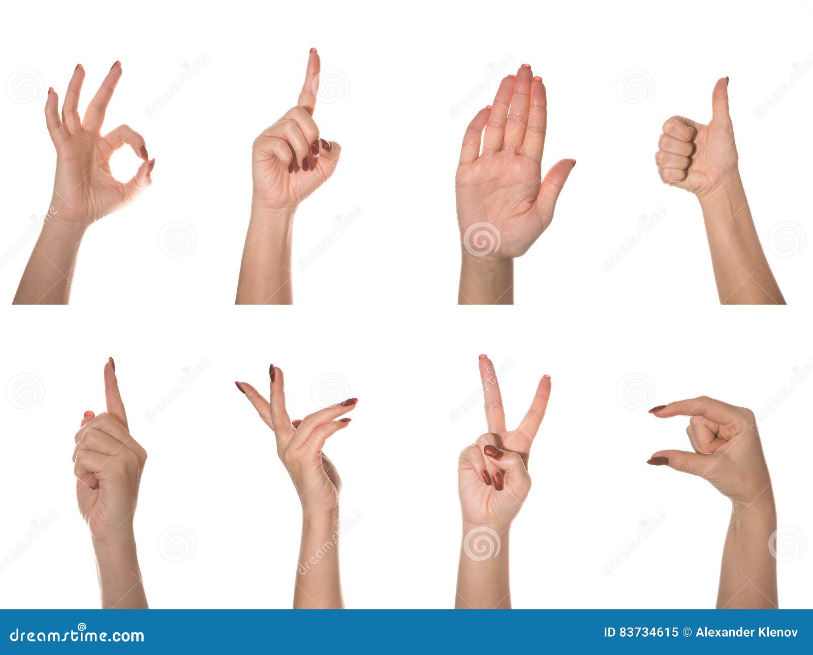 Collection of isolated woman`s hands showing different gestures. 