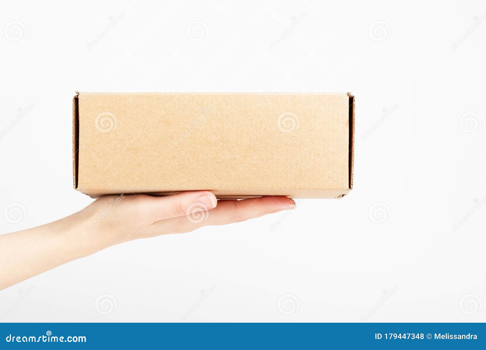 Download Female Hand Holding Carton Box Food Conveyance Fast Delivery Service Mockup Style And Place For Text Package And Shipping Stock Photo Image Of Holding Cardboard 179447348