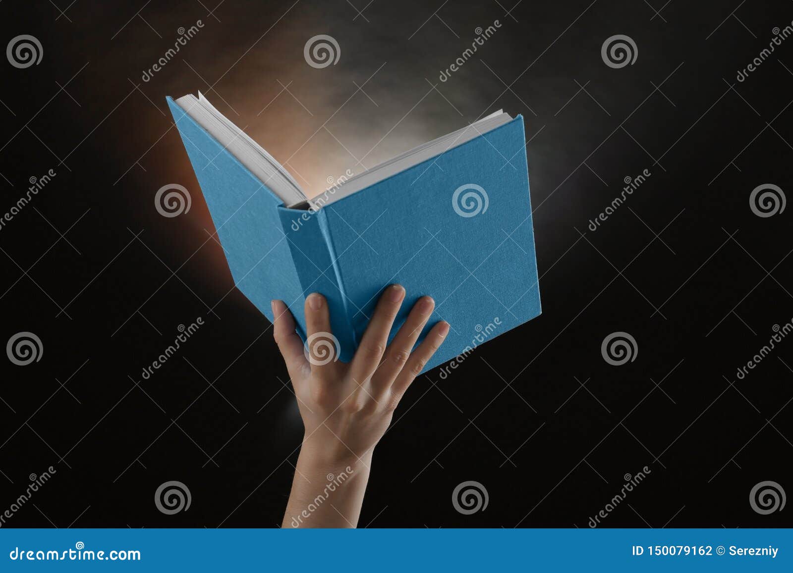 Female Hands Hold Open Bookbusiness Education Literature Read And Library  Concept Stock Illustration - Download Image Now - iStock