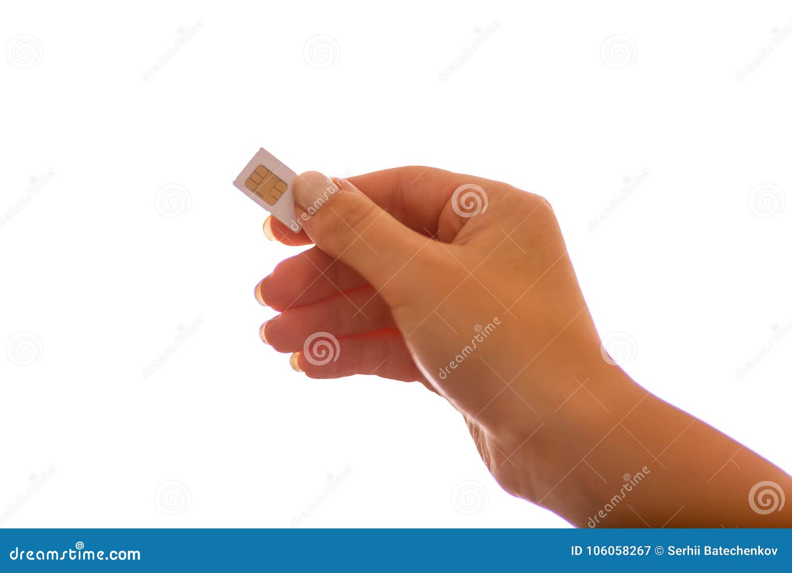 Female Hand Holding White SIM Card Stock Image - Image of finger, data