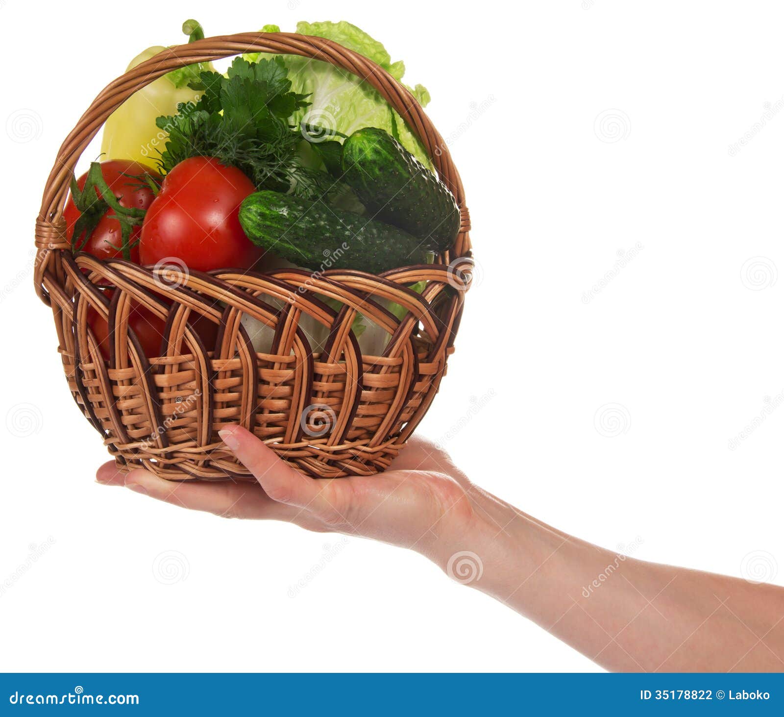 Female Hand Holds Basket with Vegetables Stock Photo Image of healthy