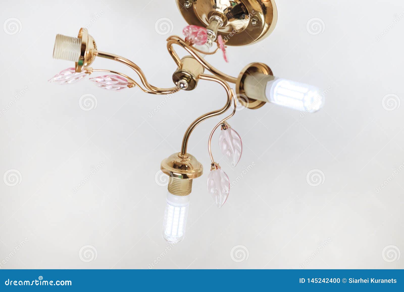 Female Hand Inserts a Light Bulb into the Threaded Socket. she is