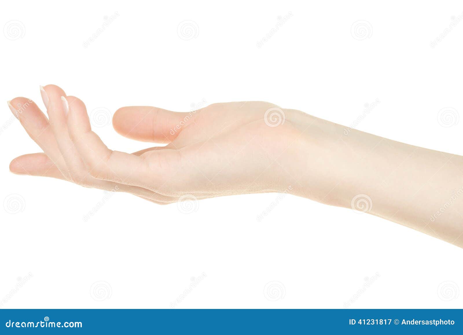 Female Hand Open Palm Up Stock Image Image Of Empty Female Hand Open Palm Up Stock Image Image Of Empty