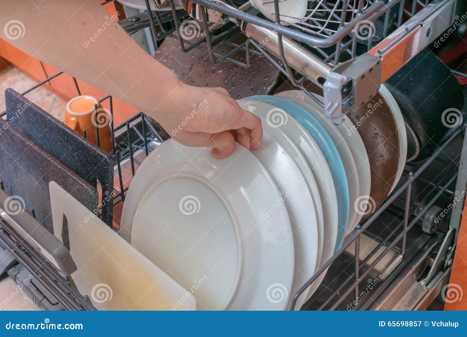 Female Hand is Putting Dirty Dish in Dishwasher Stock Image Image of
