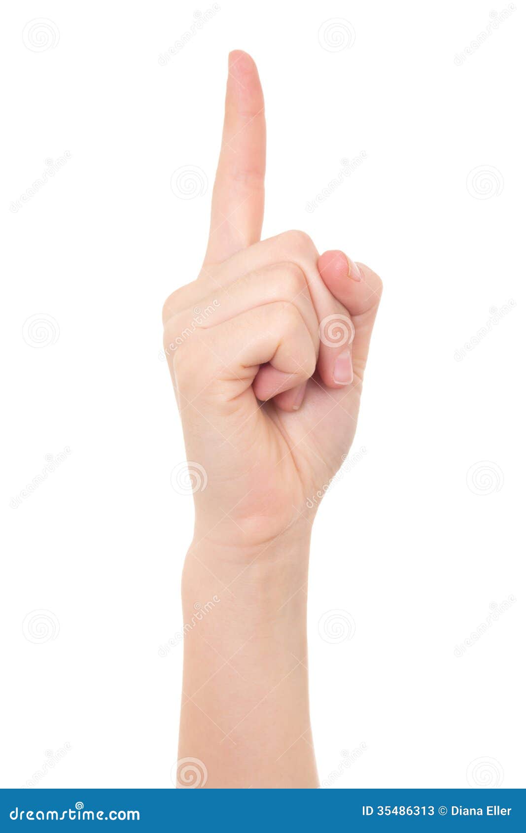 Female Hand Showing Idea Gesture Isolated on White Stock Image Image