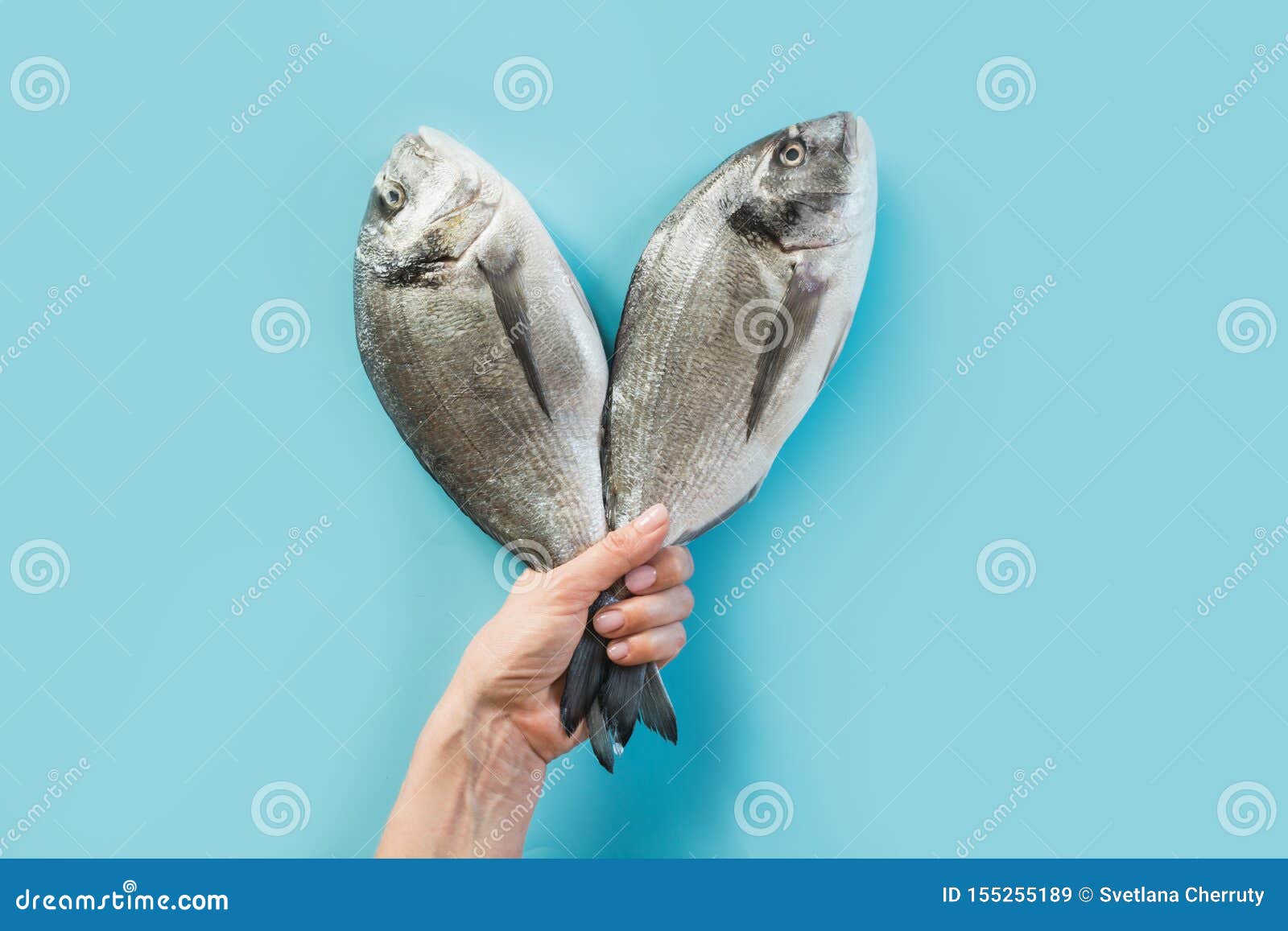 female hand with two dorado fish tail on blue paper as color of sea