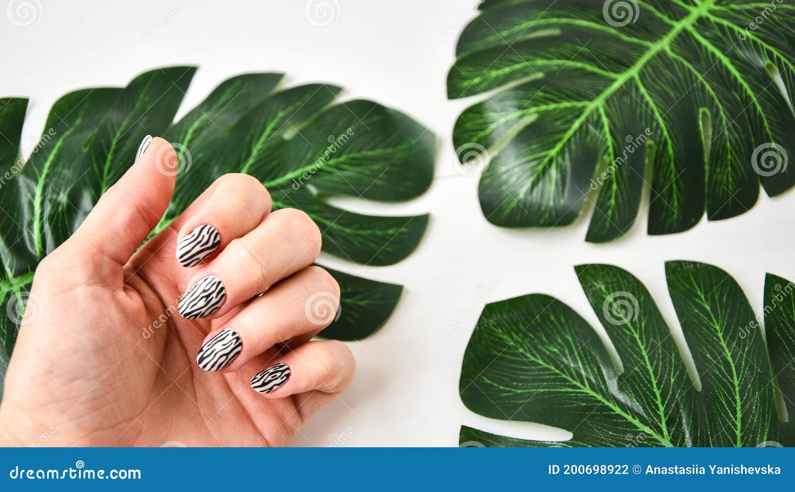 Female Hand with Zebra Animal Printed Nail Design. Yellow Nail Polish  Manicure Stock Photo - Image of girl, cuticle: 200698922
