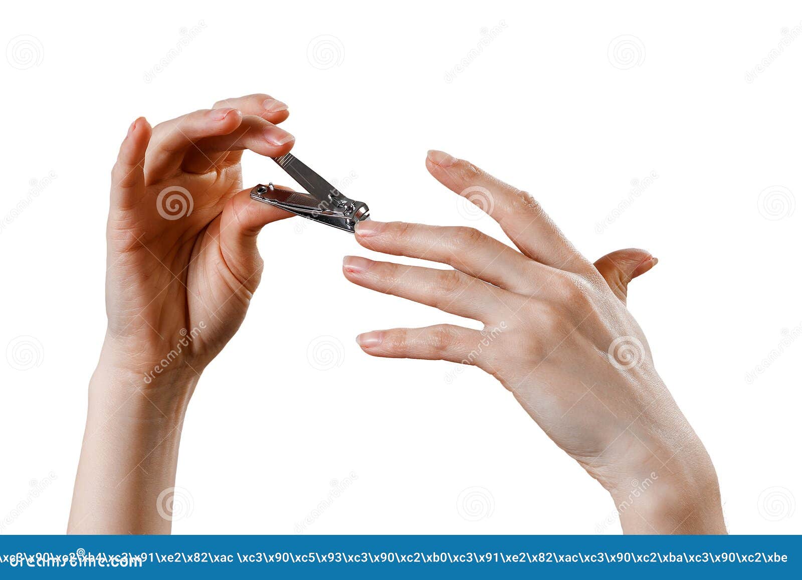 Female Hands Cut Off Nails On A White Background, Isolate Stock Image