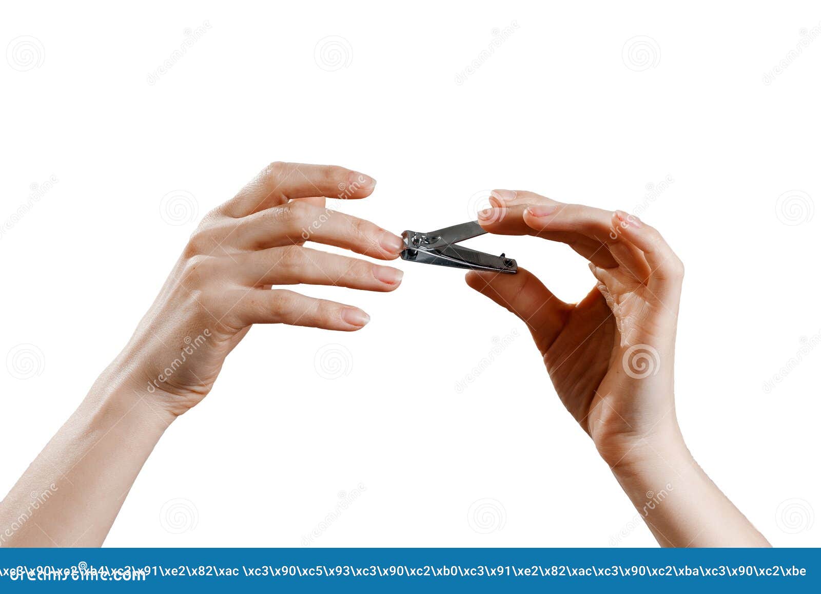 Female Hands Cut Off Nails on a White Background, Isolate Stock Image