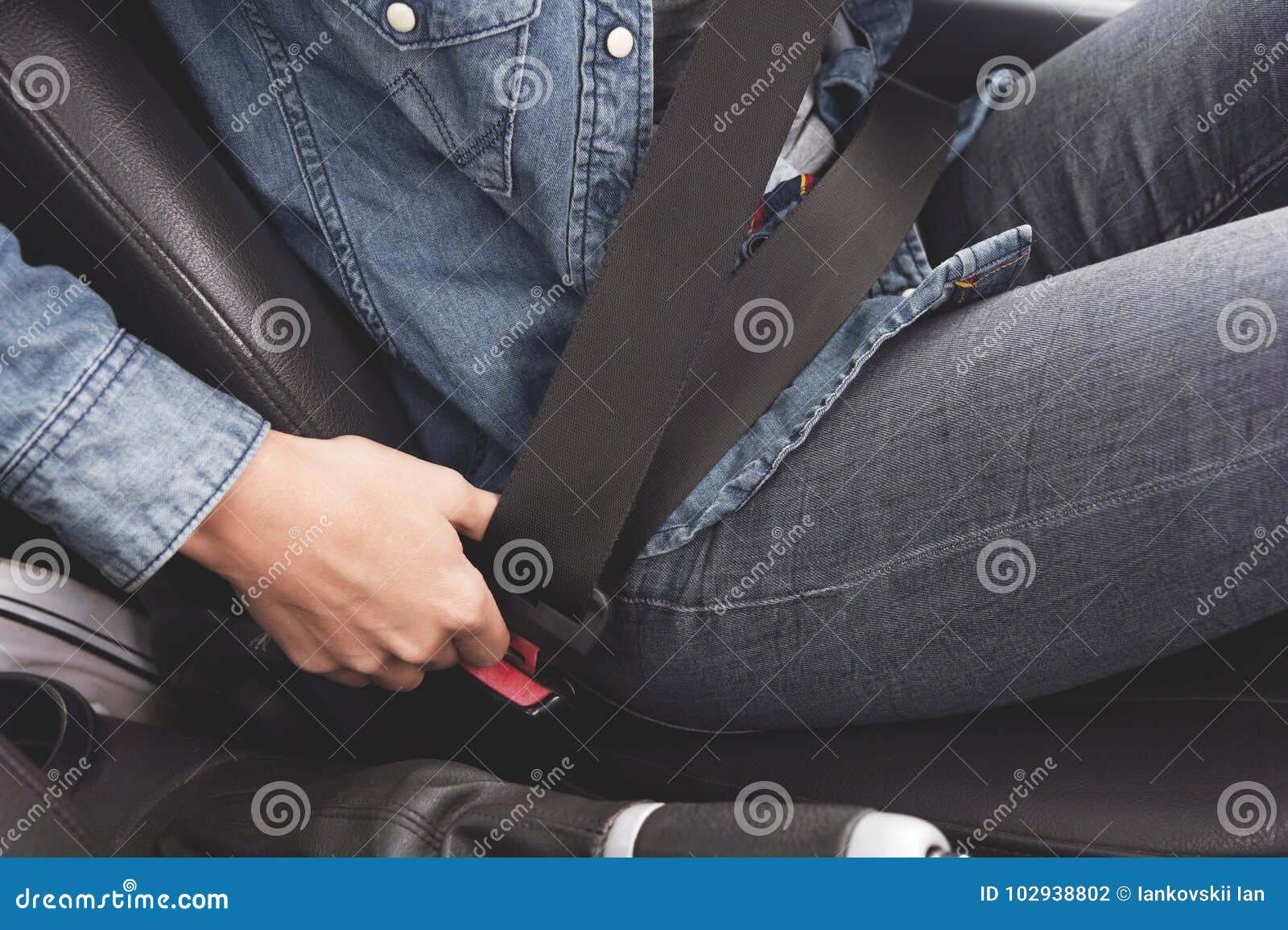 Female Hands Fasten the Seat Belt in the Car. Stock Photo Image of