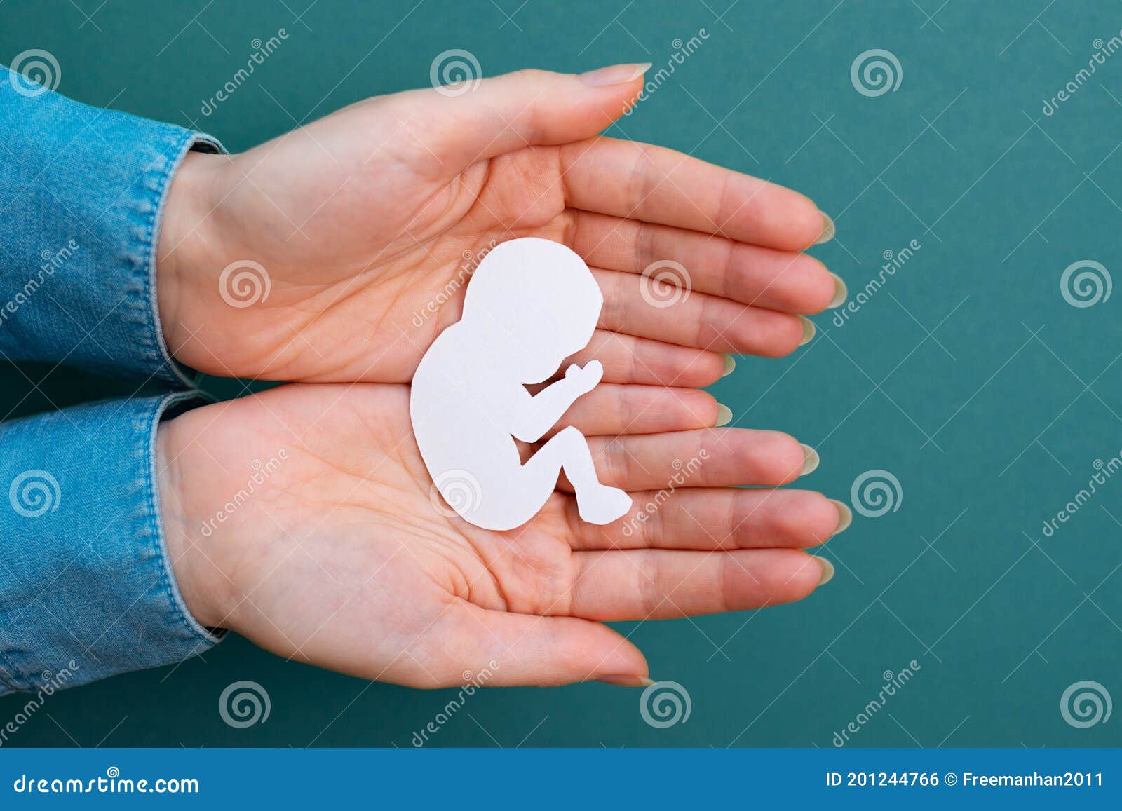 female hands hold a paper-cut silhouette of a fetus. green background. flay lay. close up. concept of artificial insemination and