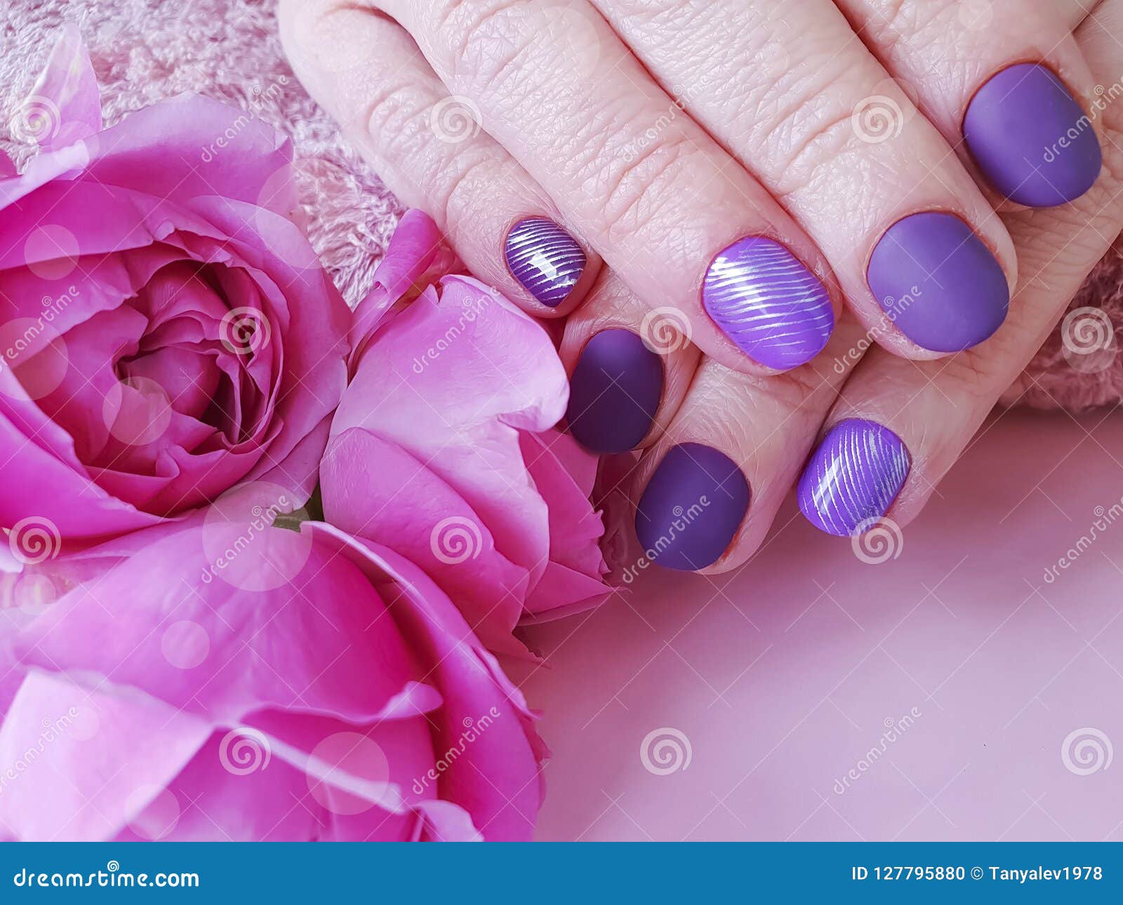 Female Hands Manicure Purple, Fashion Closeup Glamour Background Beauty ...