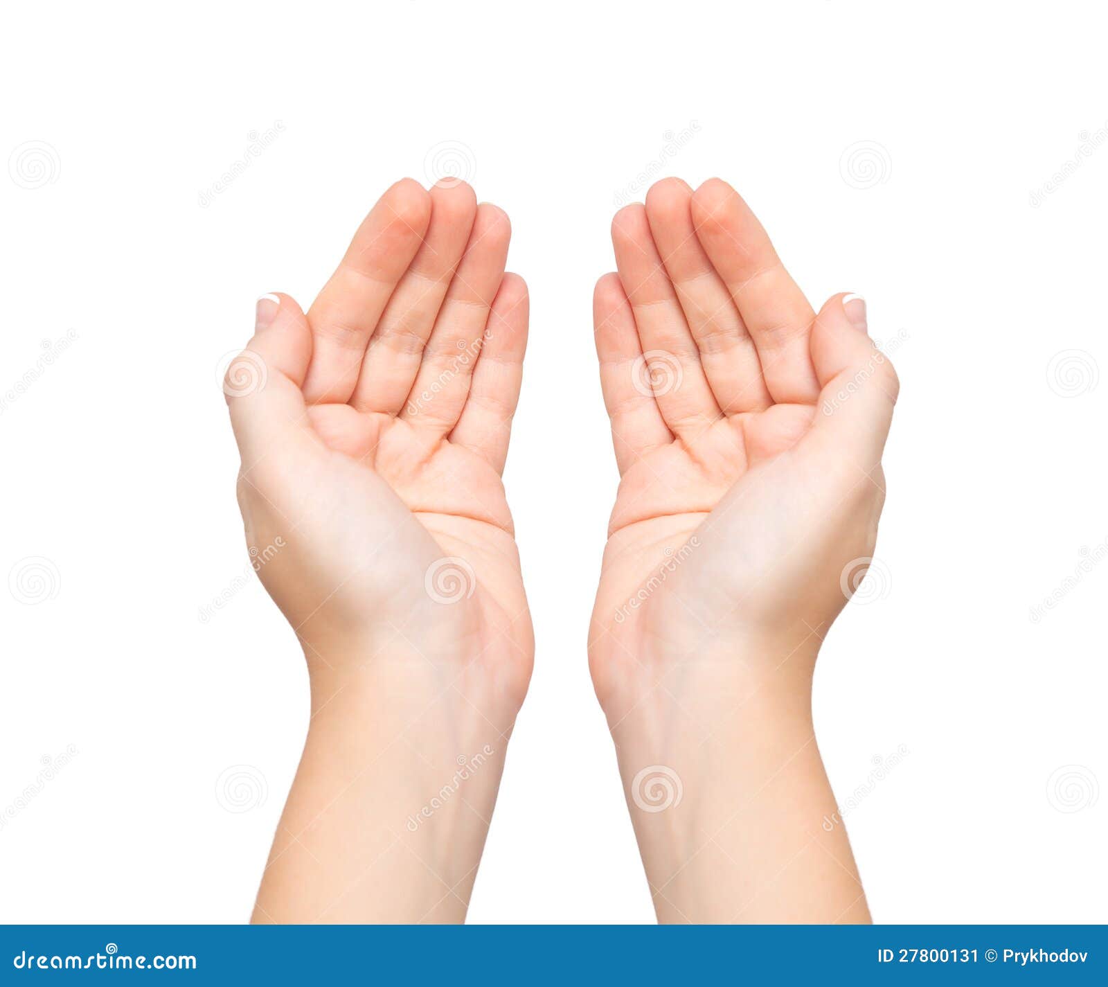 female hands palms held subject