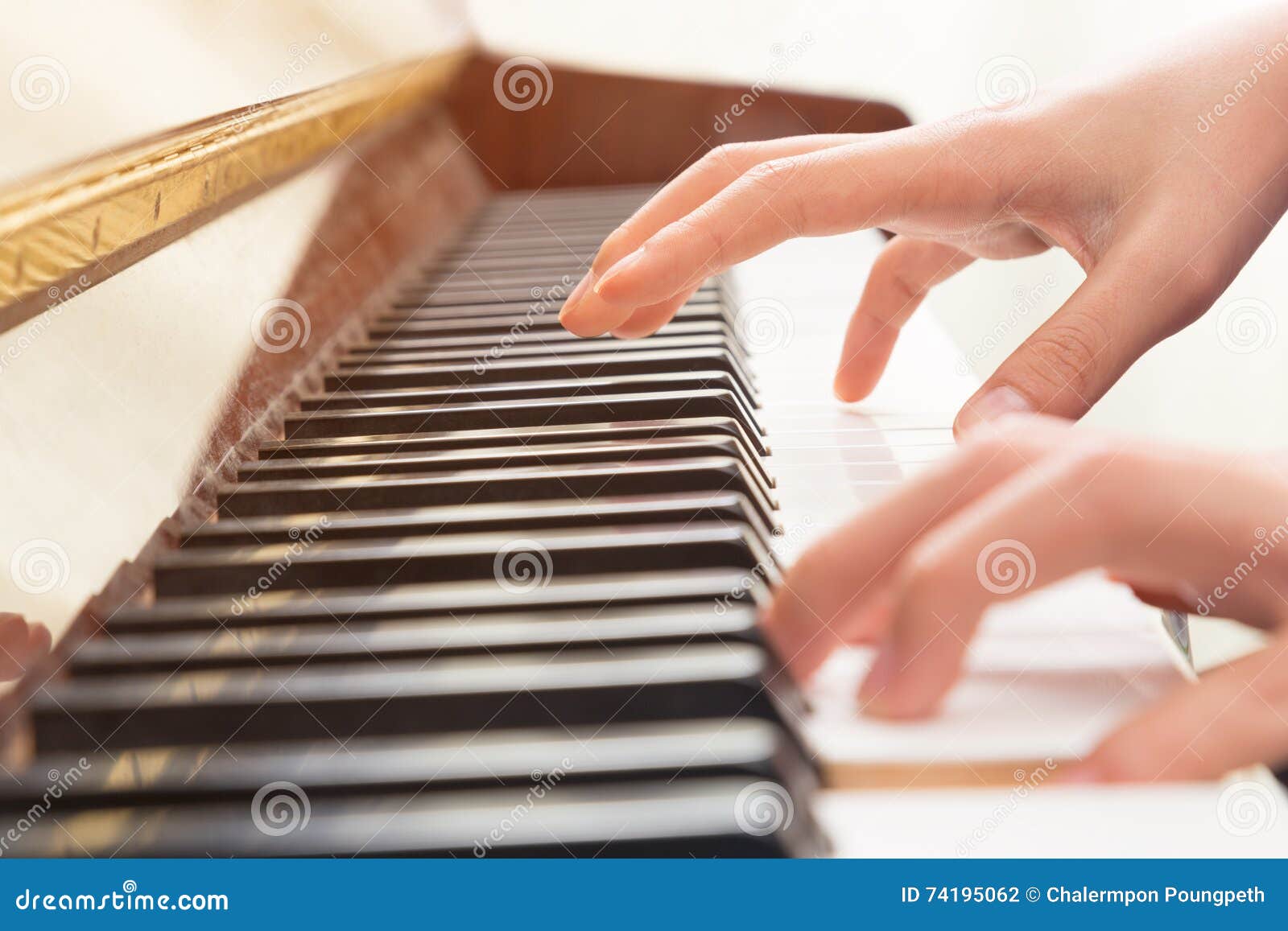 Female hands playing piano stock photo. Image of practicing - 74195062