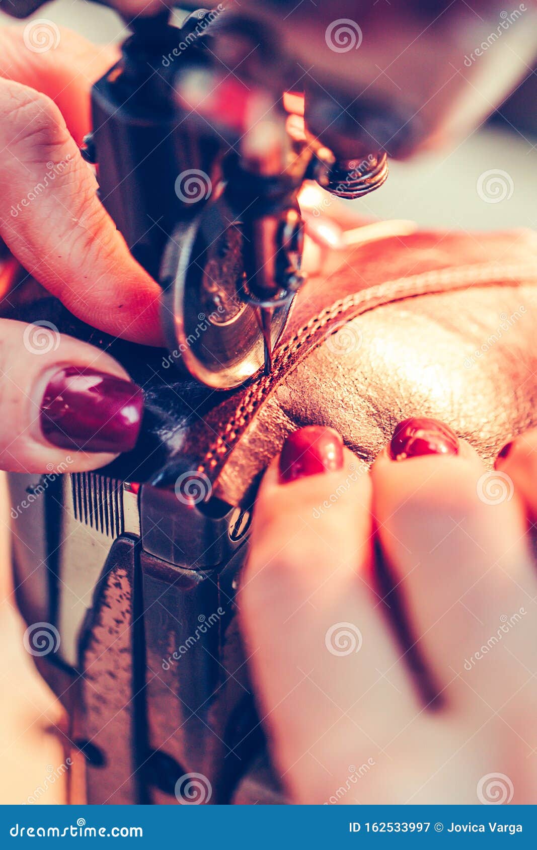 Female Hands Stitching a Part of the Shoe in a Factory Stock Image