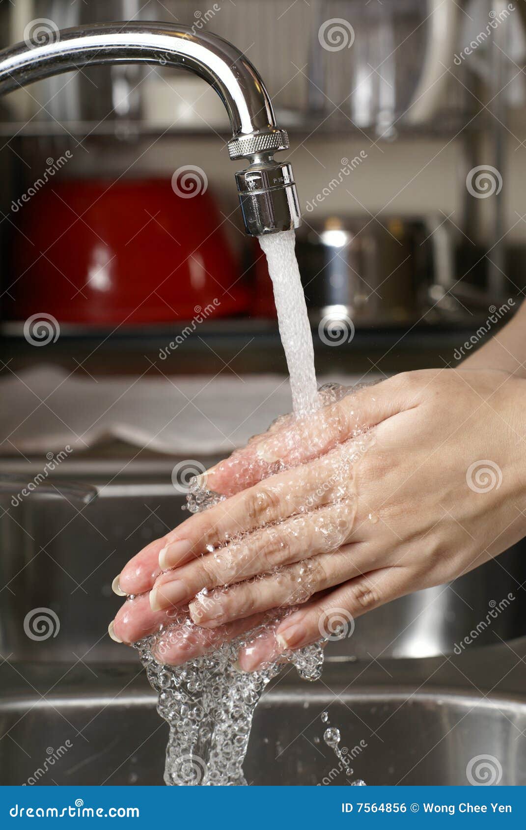 Female hands washing stock photo. Image of female, scrub 7564856