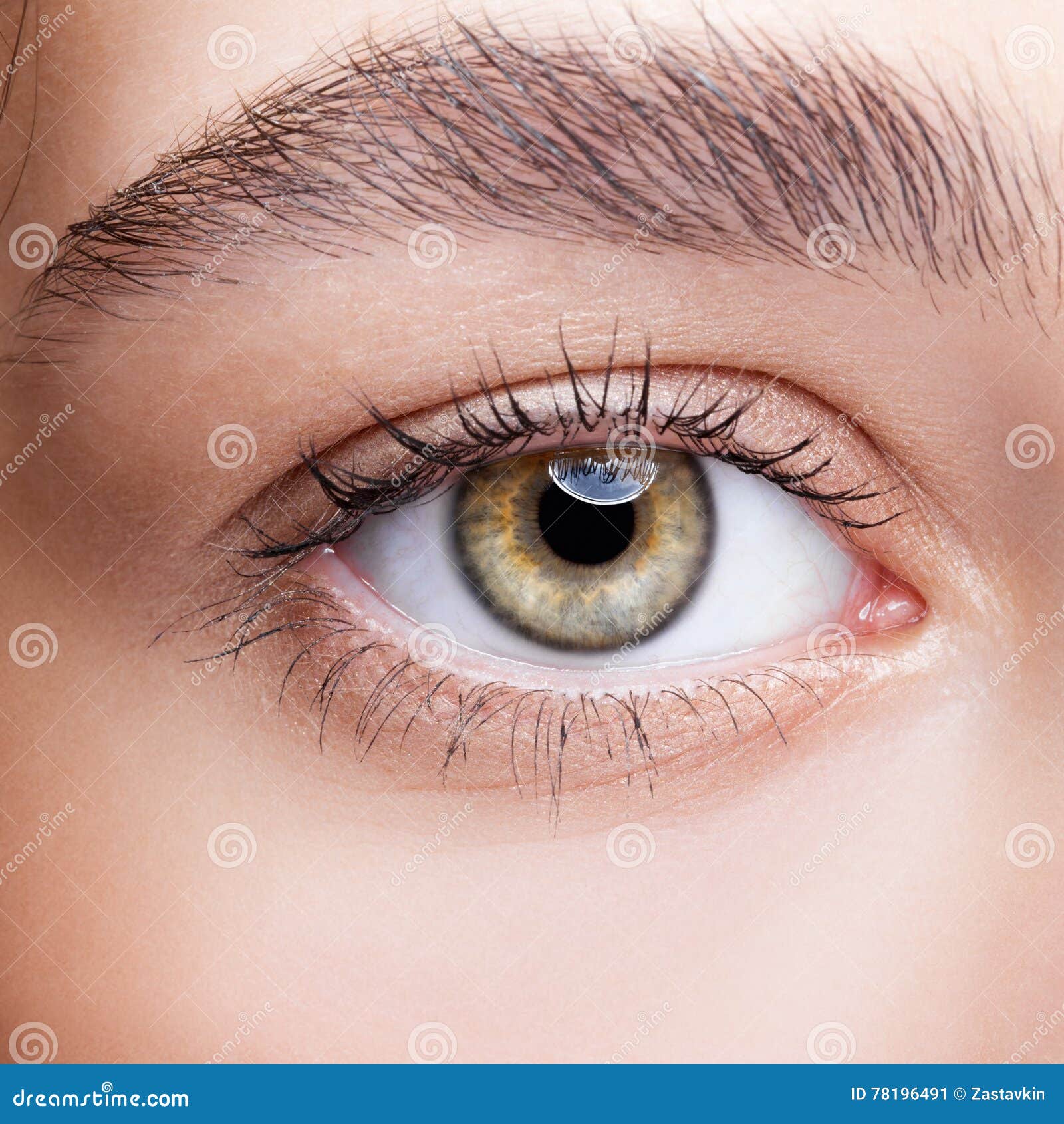 Female hazel eye makeup stock image. Image of caucasian 78196491
