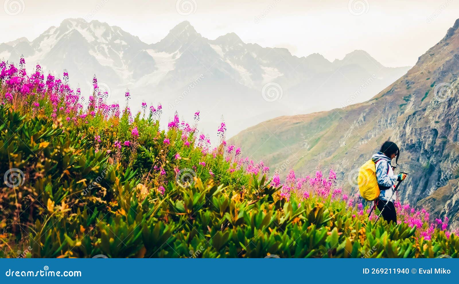 female hiker with nordic walk pols hike downhill in green caucasus mountains hiking trail in spring nature rainy day.recreational