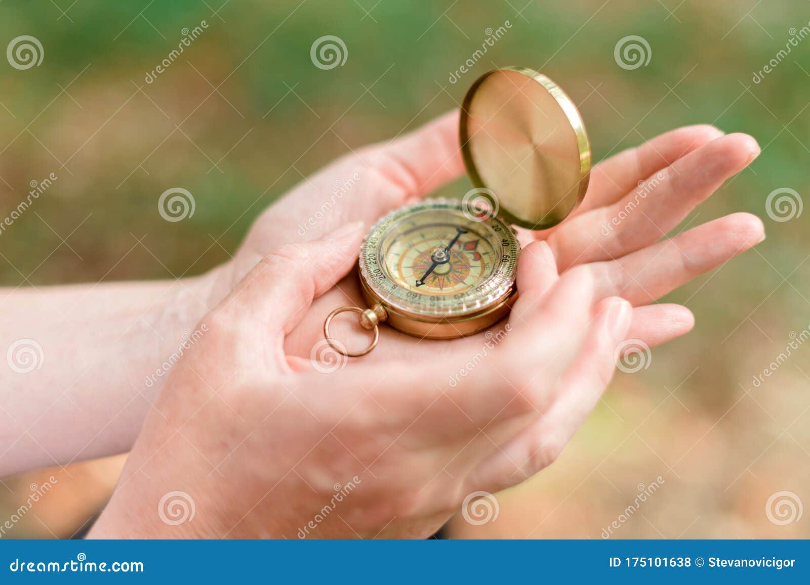 Female Hiker Using Compass for Navigation and Orientation in Forest