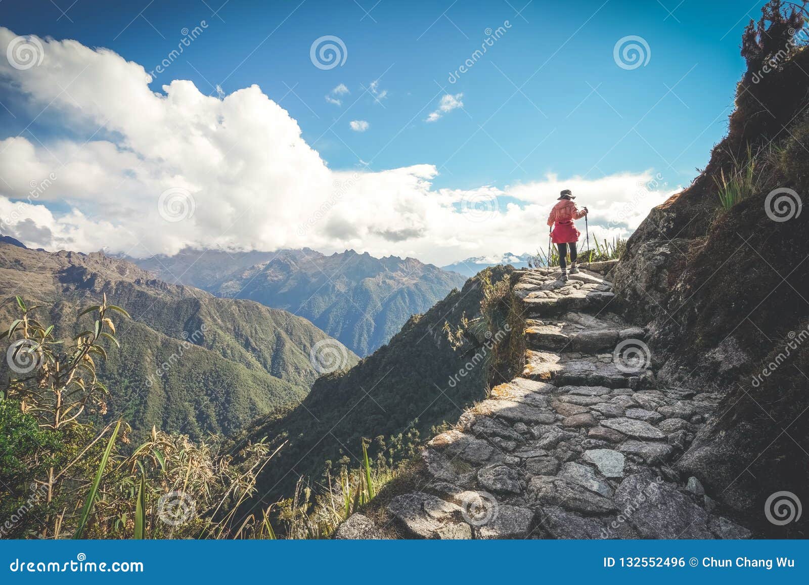 a female hiker is walking on the famous inca trail of peru with walking sticks. she is on the way to machu picchu