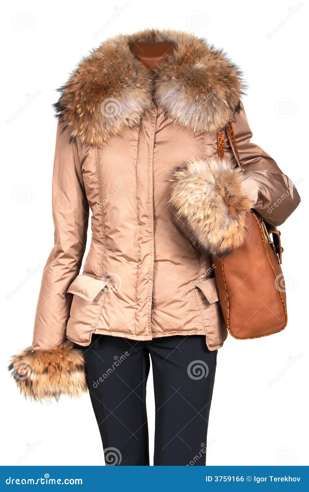 Female jacket and bag stock photo. Image of nylon, dummy 3759166