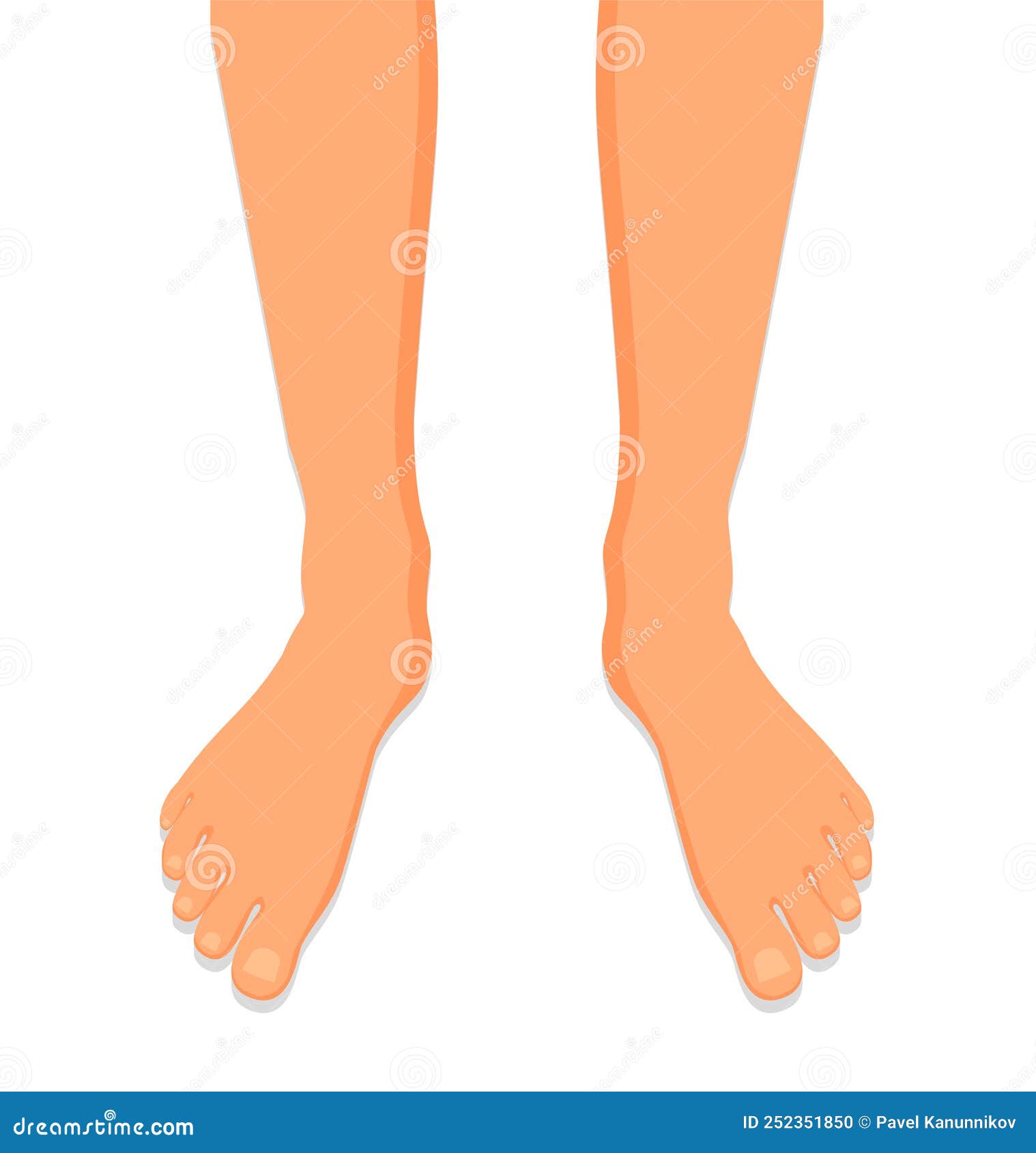 Female Legs Barefoot, Side View. Graceful Bare Female Feet. Vector ...