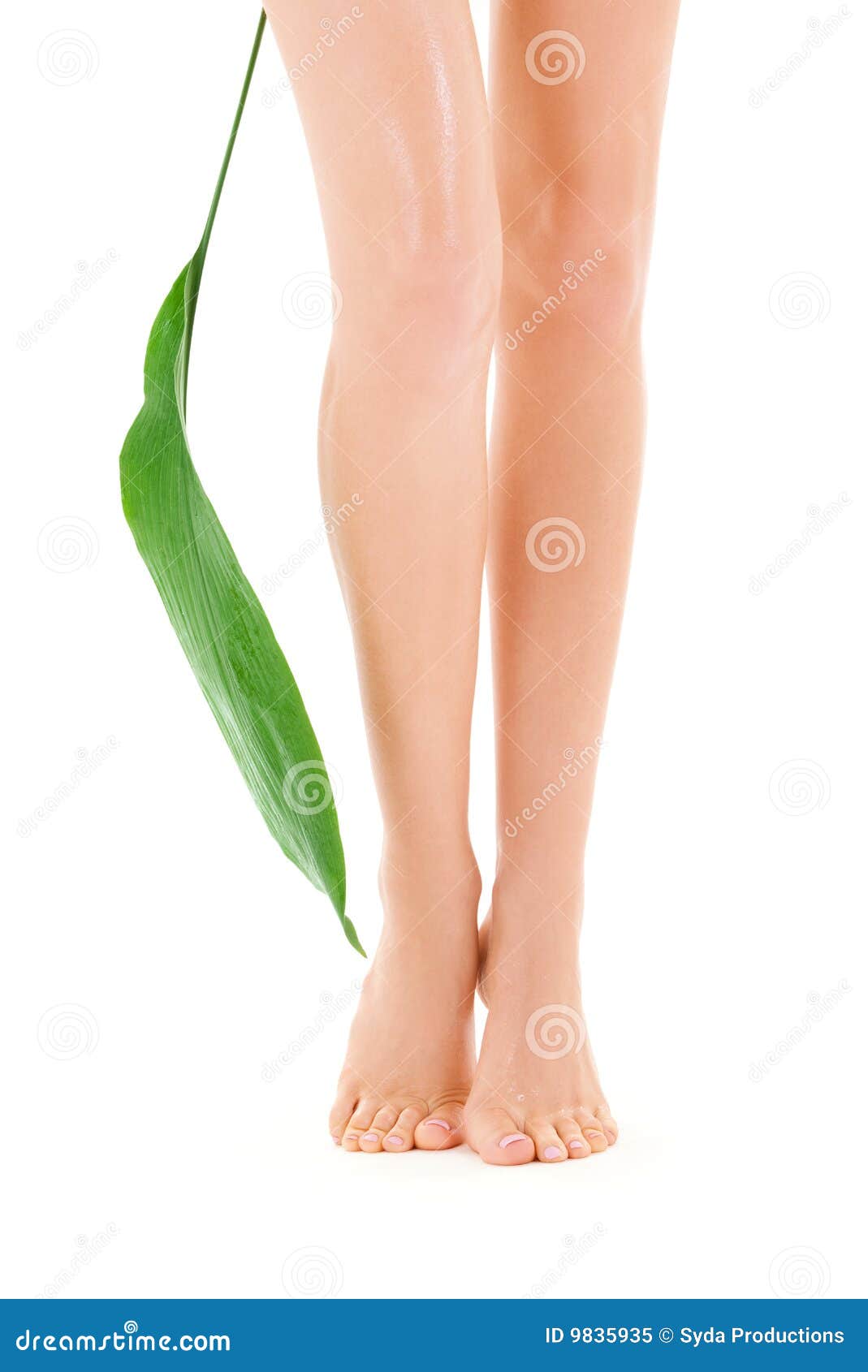 Green legs. Зеленые ноги. Ноги листья. Листики на ноге. Ножки женские с зеленым.