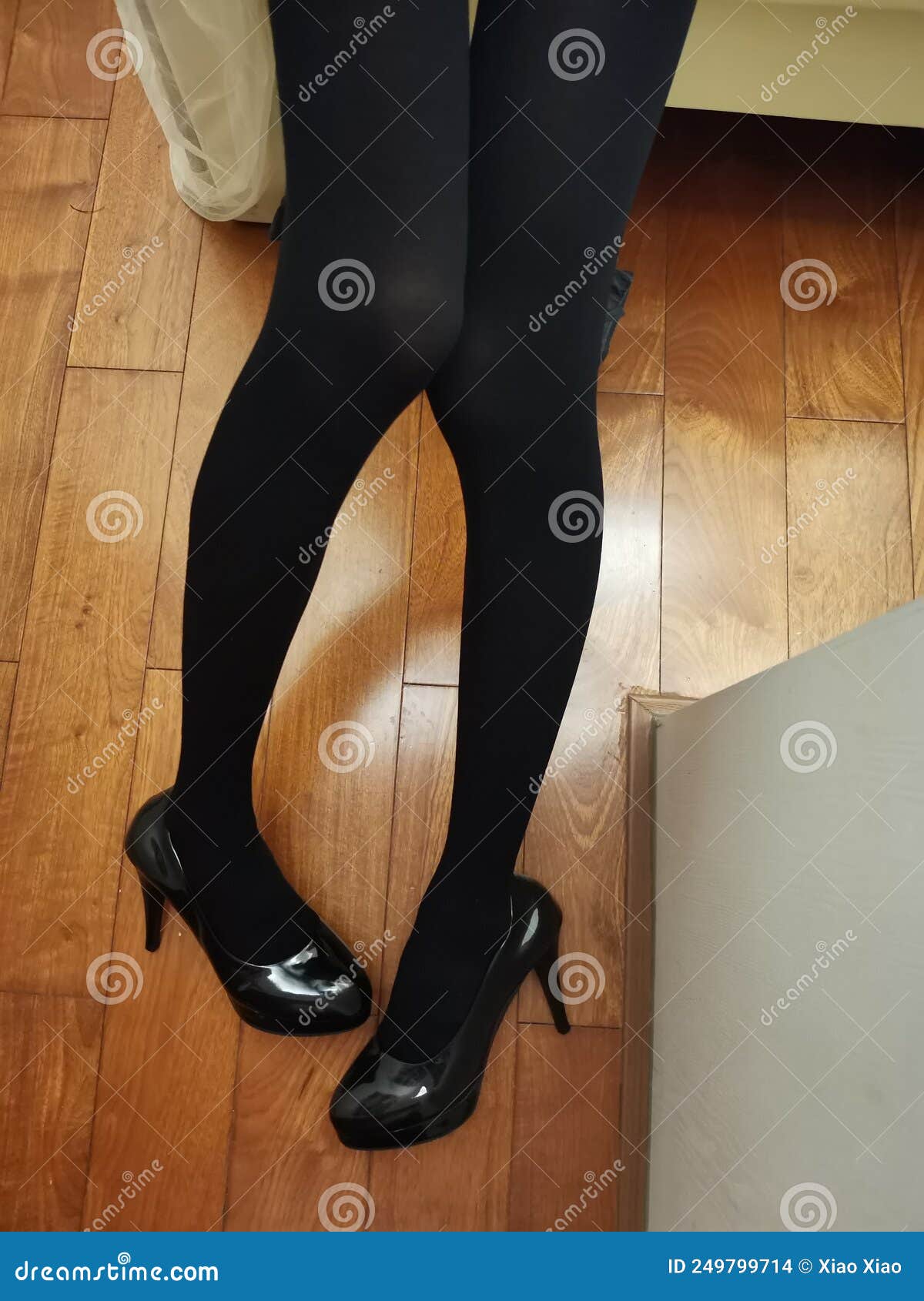 https://thumbs.dreamstime.com/z/female-legs-nylon-stockings-legs-black-nylon-stockings-sexy-indoor-photography-women-silk-stockings-high-heels-indoor-female-legs-249799714.jpg