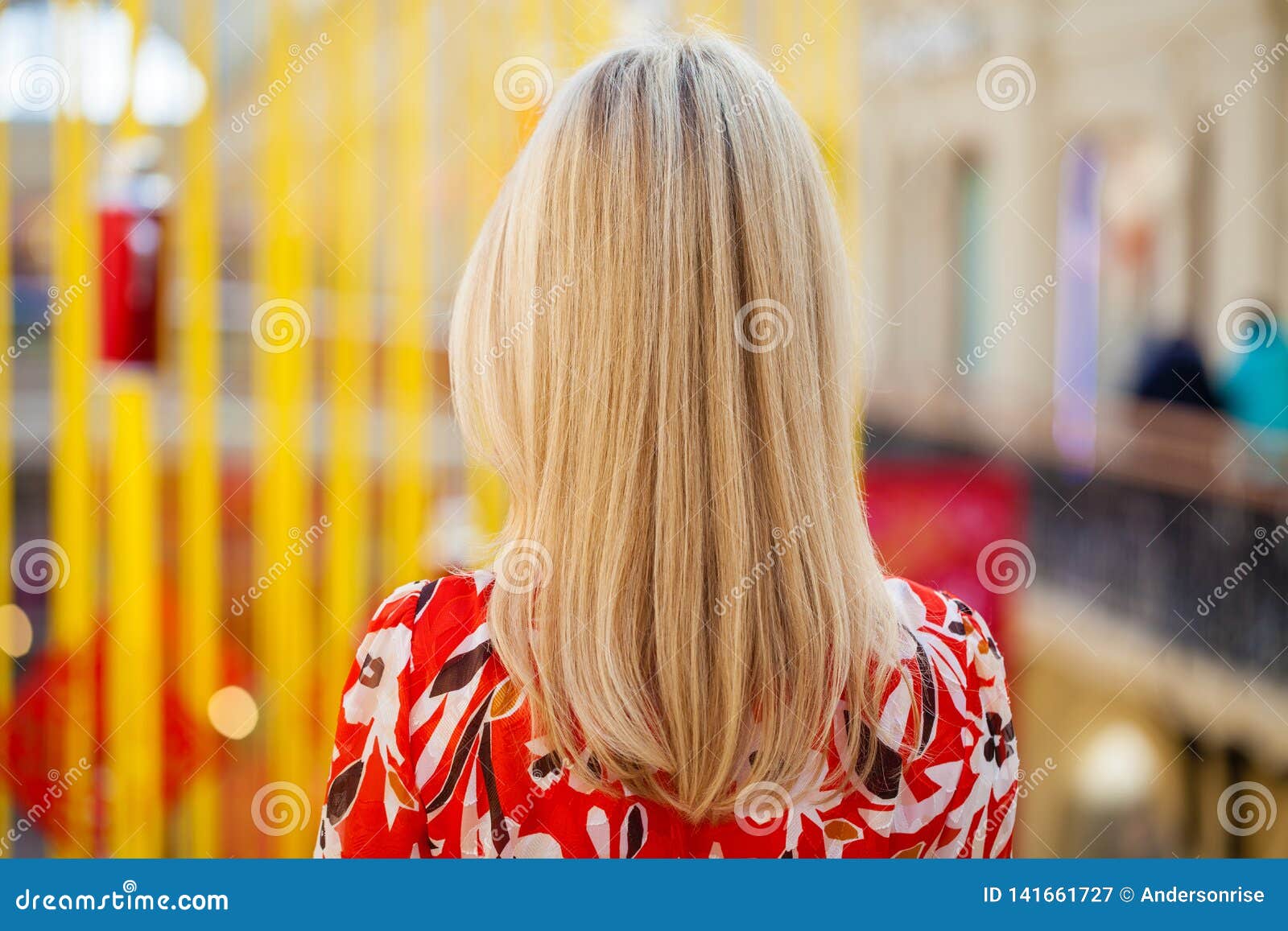 Blonde woman with braided hair from behind - wide 4