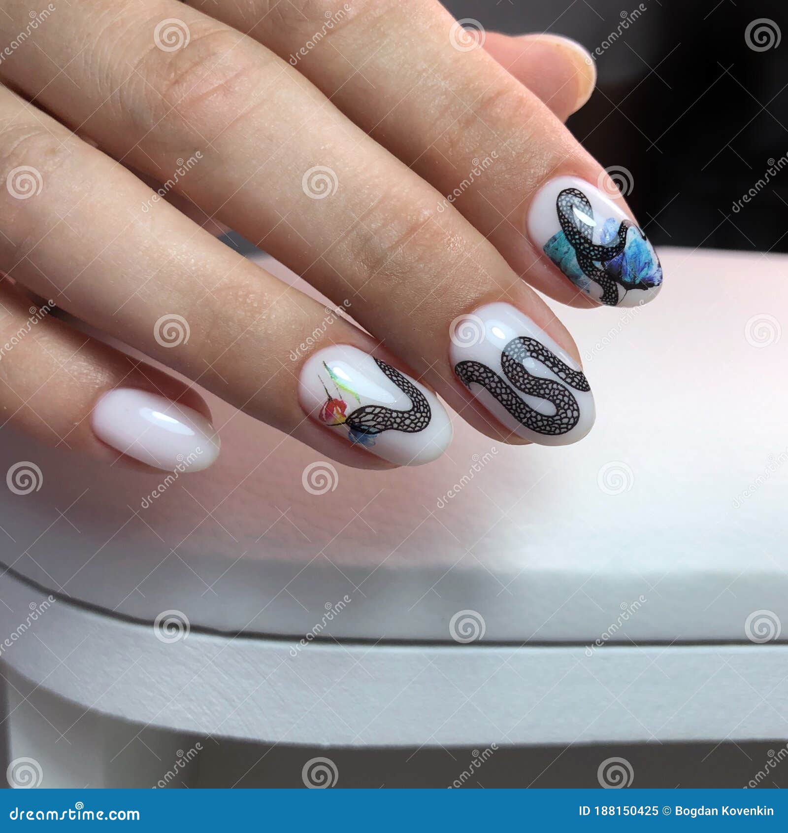 Female Manicure. Manicure with a Snake Design on the Nails Stock Image ...