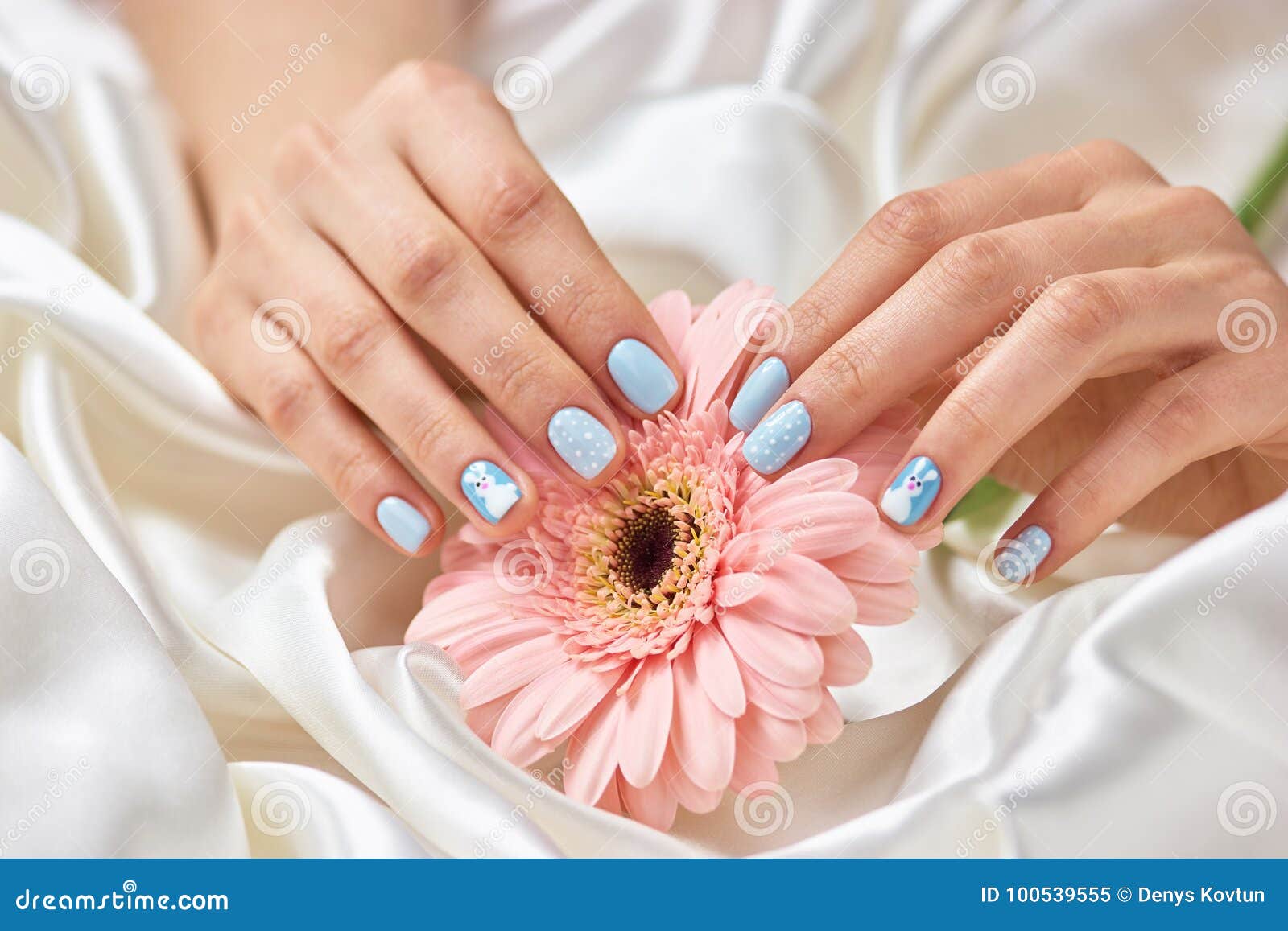 Female Manicured Hands Holding Gerbera Stock Image Image Of Material