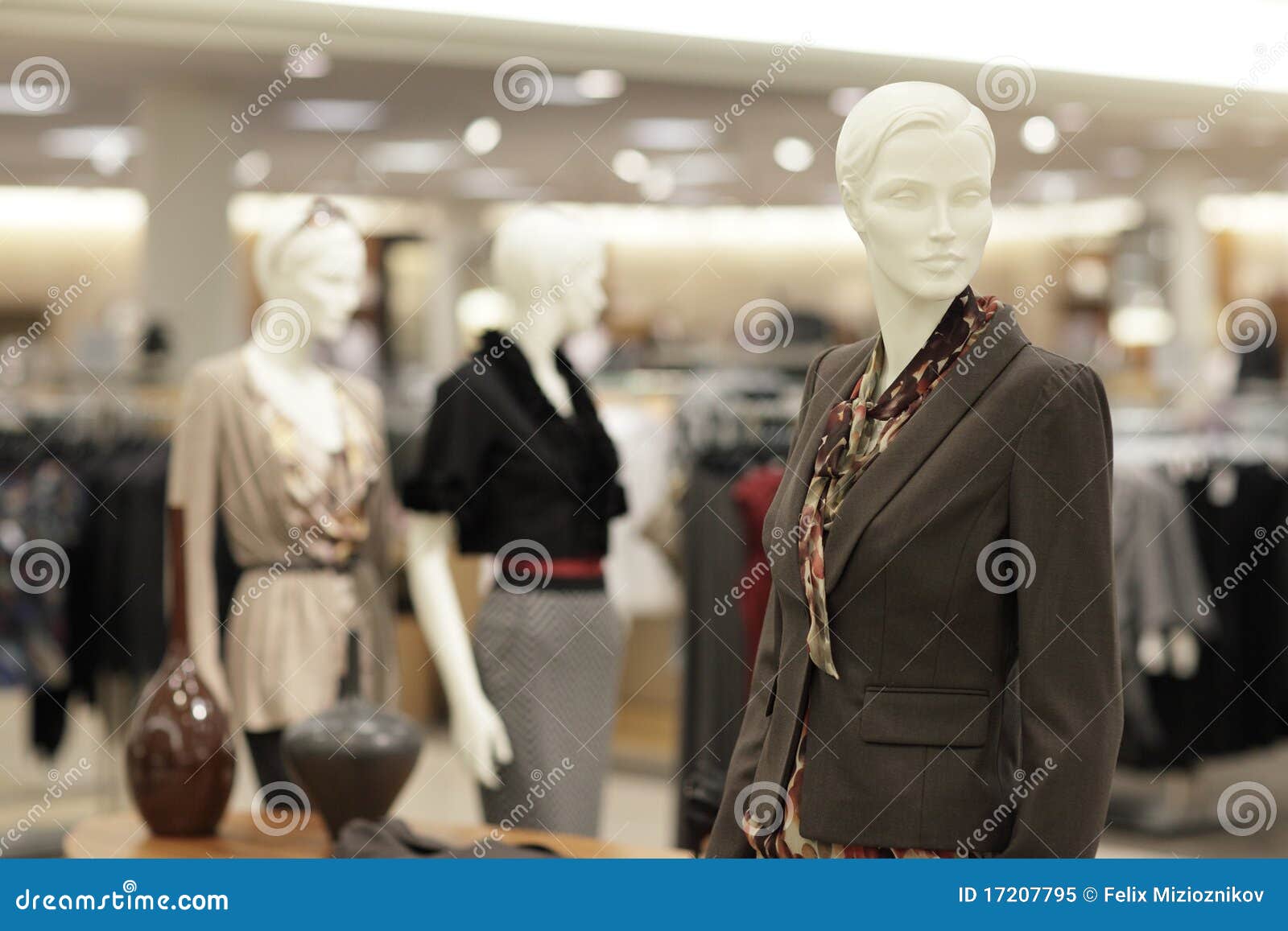 Female mannequin stock image. Image of lady, business - 17207795