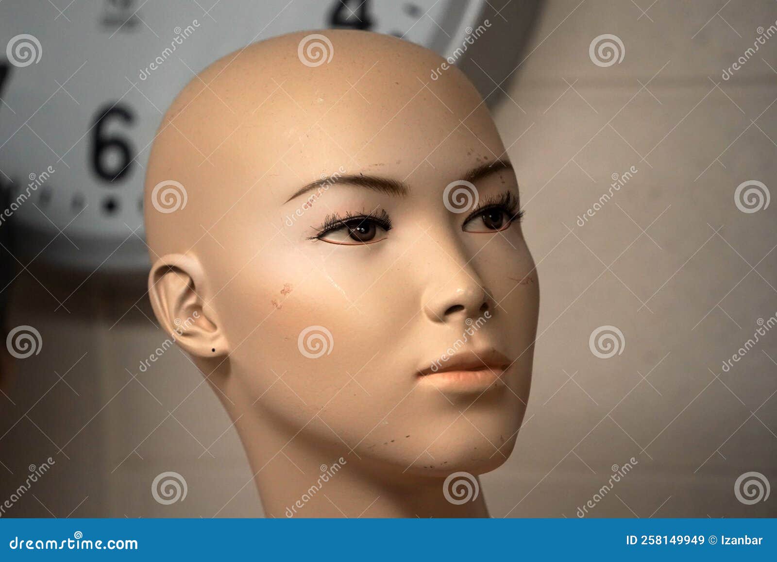 Female Mannequin Figure Close Up Stock Image Image of store, plastic 258149949