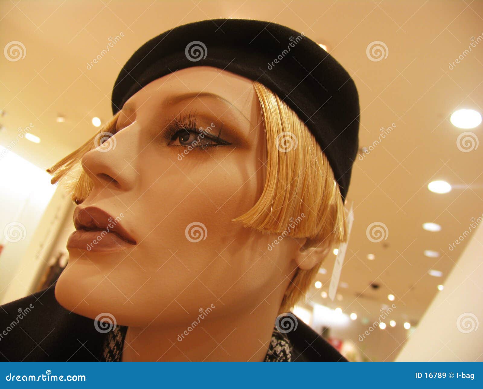 Female mannequin head stock image. Image of female, fashion - 16789