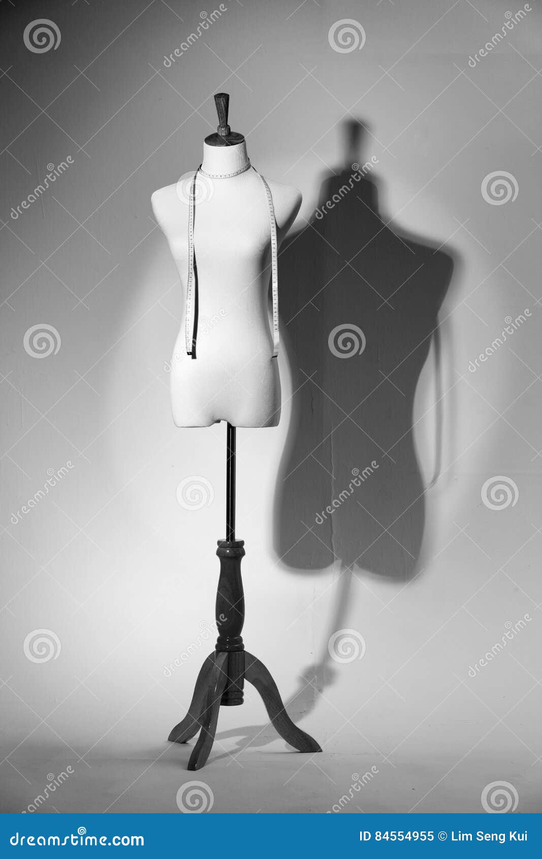 Female mannequin stock image. Image of model, style, garment 84554955