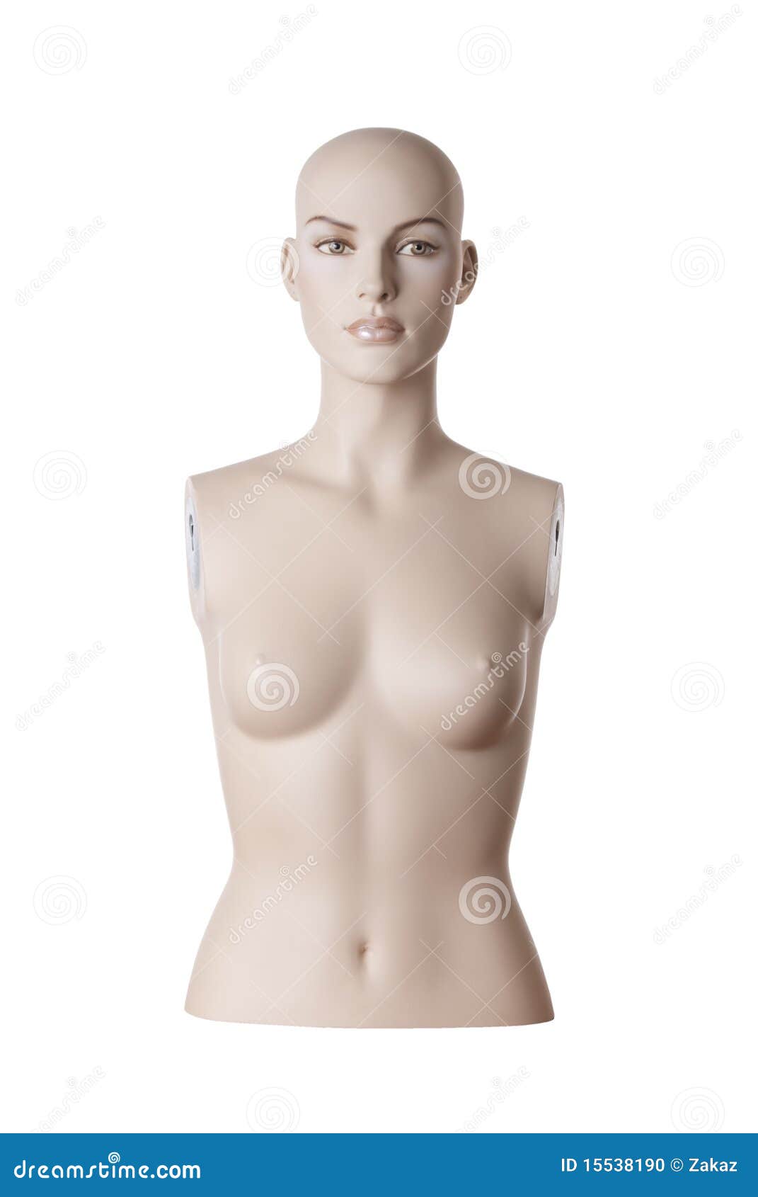female mannequin torso | studio 